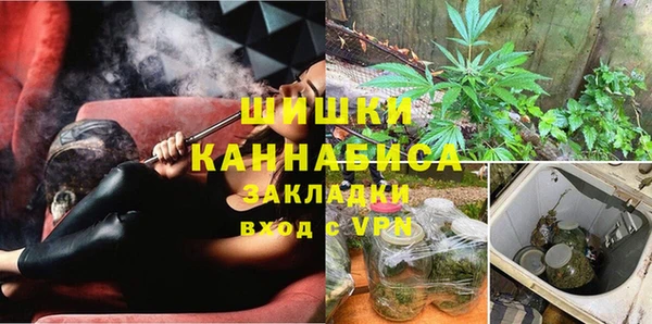 трава Коряжма