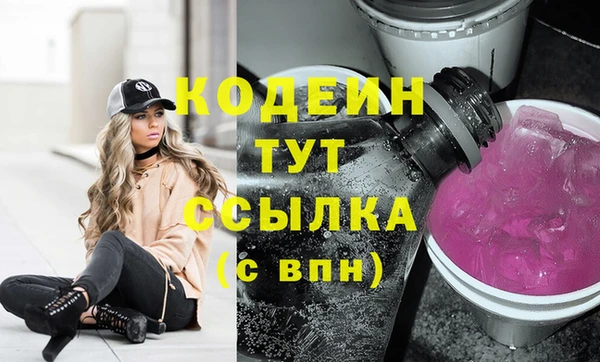 трава Коряжма