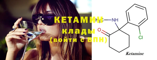трава Коряжма