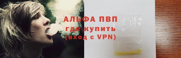 шишки Краснослободск