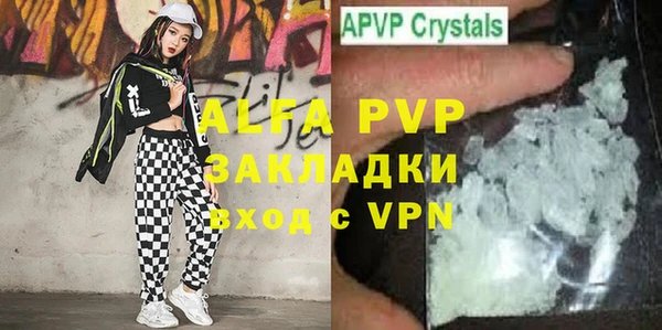 трава Коряжма